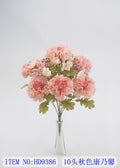 10 head autumn carnations