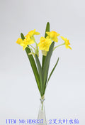 2 fork big leaf daffodils