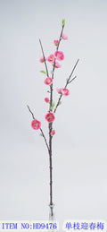 Single-branch Yingchun plum