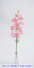 Single Branch China Whelan