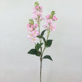 Single Trigeminal Flower