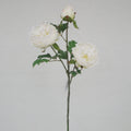 Single branch, 3 small peonies of national color