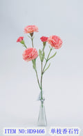 Single branch carnation