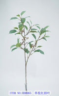 Single branch red-lipped leaf
