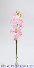 Single fresh orchid